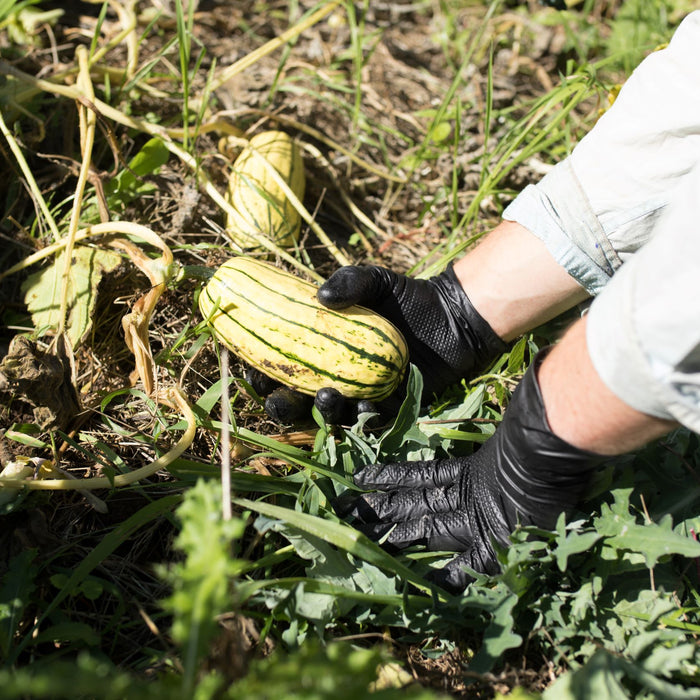 Disposable Gloves in Agriculture